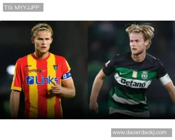 本菲卡大胜里昂五比一红牌事件引发全场热议与争议